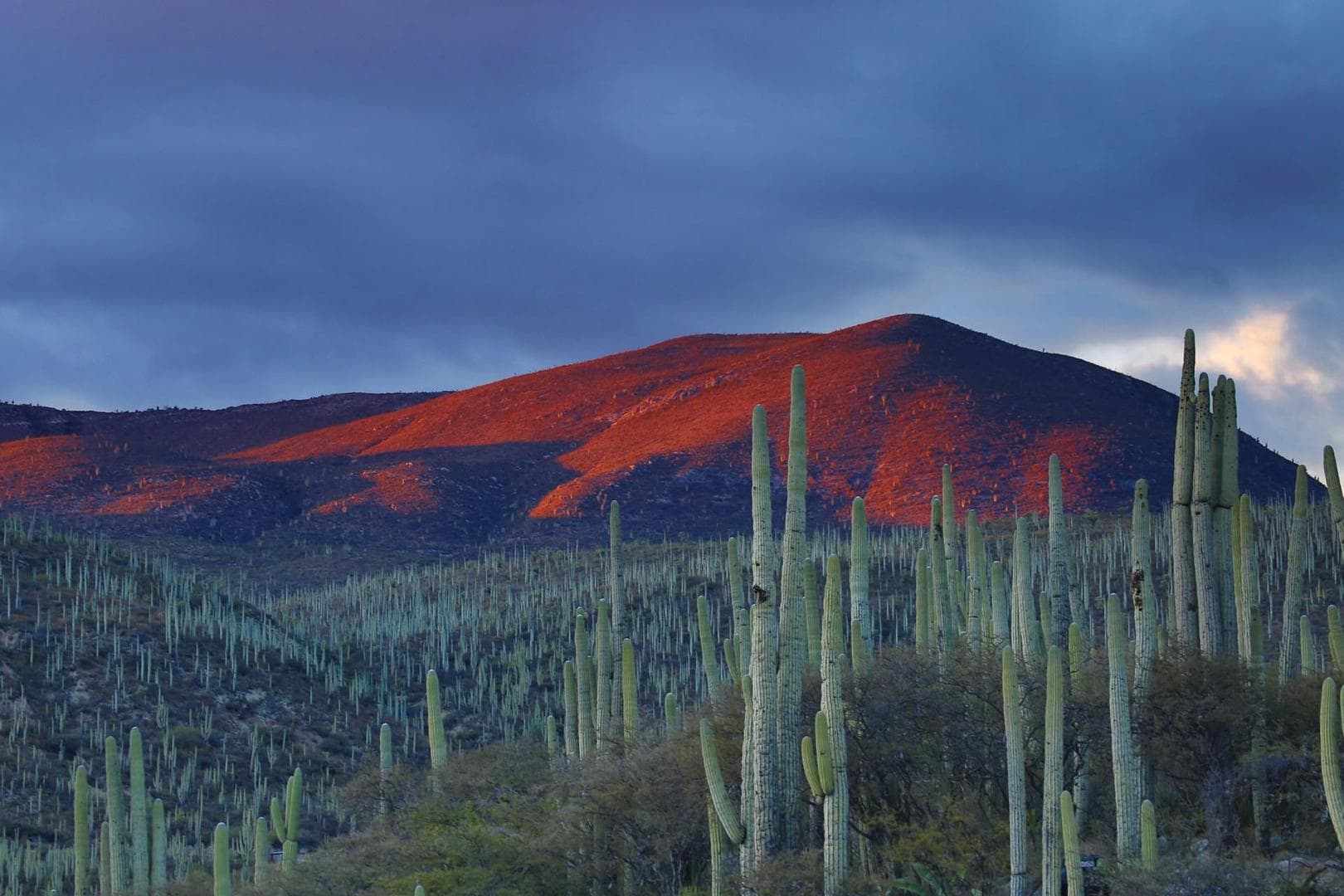 Mexico establishes Fintech law