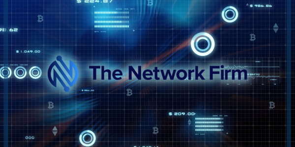 The Network Firm