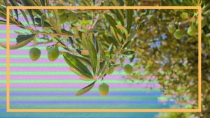 Sustainability with the UK Wealthtech Kingpins
