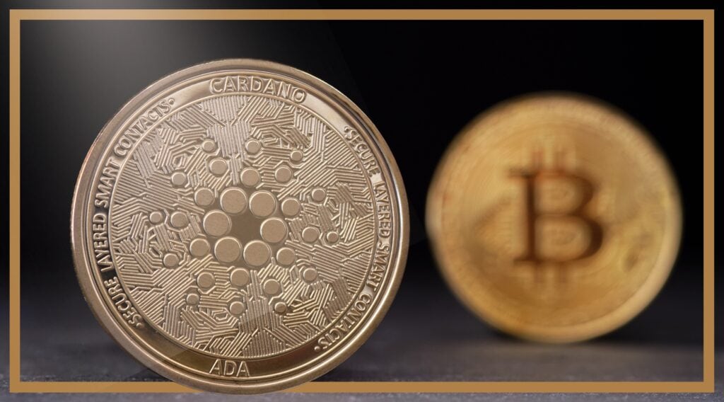 Is Cardano the one to watch? | Disruption Banking
