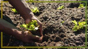Why is investment in African agriculture so low?