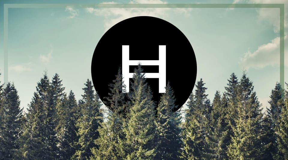 How Hedera could turn ESG reporting from a fairytale to a reality