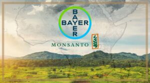 How Can Africa Help Bayer Recover From Its Monsanto Misstep?