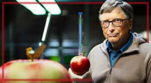 Is Bill Gates Wrong About Genetically Modified Organisms (GMOs)?