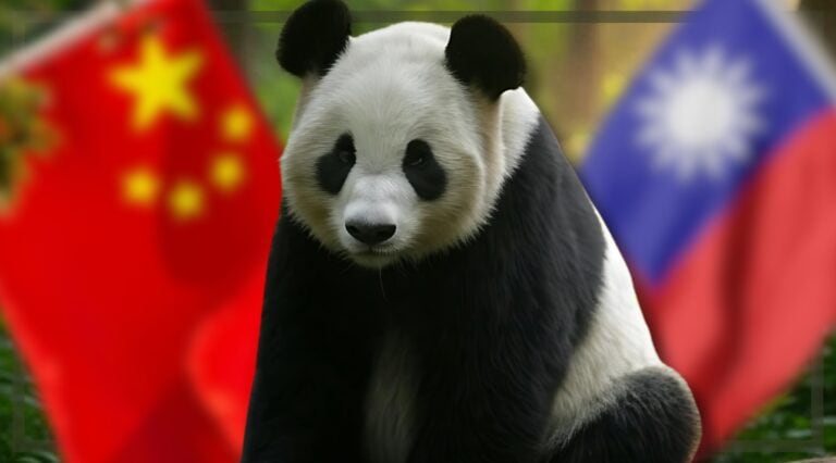 As Pandas Thrive, Is Panda Diplomacy Dying Out?