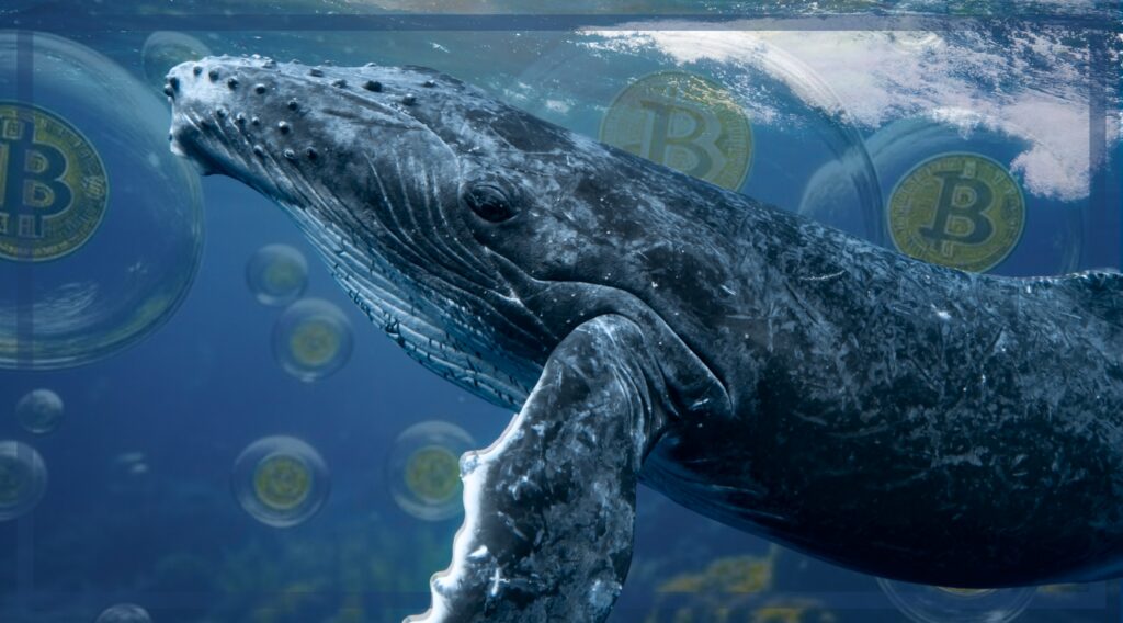 $9 Billion Sale: a Bitcoin Tale of Whales and Jail